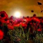 masaustu-hd-fotolari (4)