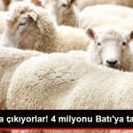 bu-hafta-yola-cikiyorlar-4-milyonu-bati-ya_x_8720208_5492_z1[1]