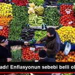 merkez-acikladi-enflasyonun-sebebi-belli-oldu_x_8672373_578_z1[1]