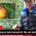 esrarengiz-meyve-kafa-karistirdi-ne-adi-belli-ne_x_8873391_8344_z11