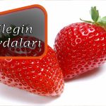 Cilegin-faydaları[1]
