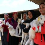 45-kadin-uygulamali-cobanlik-egitimi-aliyor-9477557_o[1]