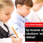 isi-ticarete-doken-ozel-okullarin-arma-tuzagina_10032984_1732_z3[1]