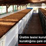 bozkirin-su-sikintisini-solucan-gubresi-cozecek_10478073_1087_z3[1]