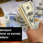 piyasalarda-tansiyon-dusmuyor-dolar-ve-euronun_10673747_9261_z2[1]